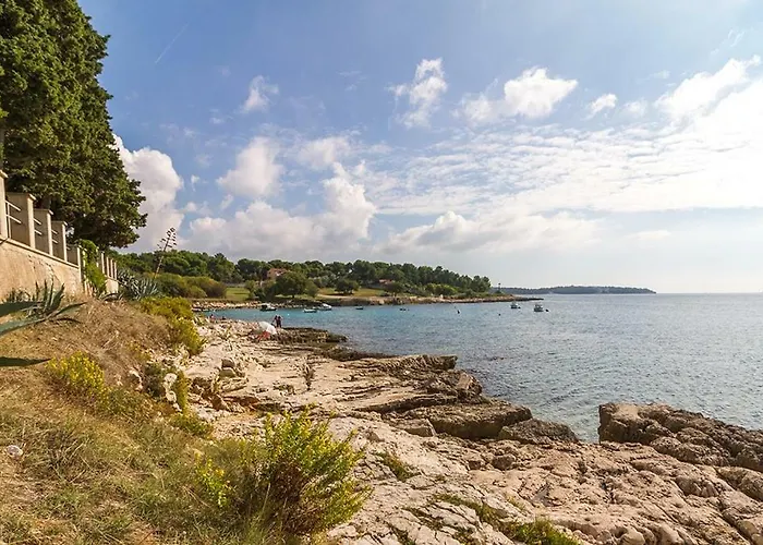 Zeljka * Pula