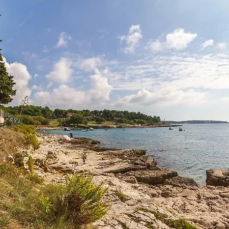 Zeljka * Pula